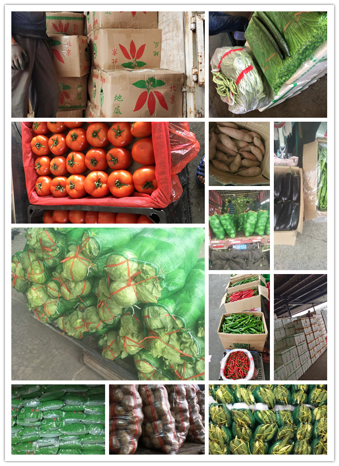 Z6���������ǲ�(�й���)���޹�˾����