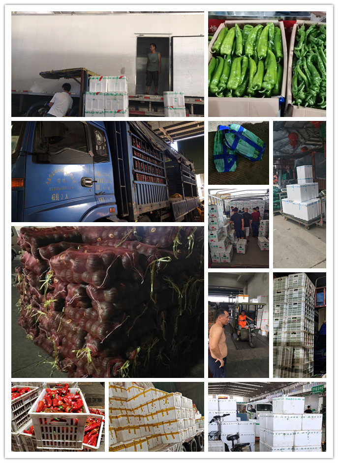 Z6���������ǲ�(�й���)���޹�˾����