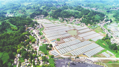 Z6���������ǲ�(�й���)���޹�˾����