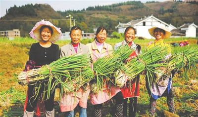 Z6���������ǲ�(�й���)���޹�˾����