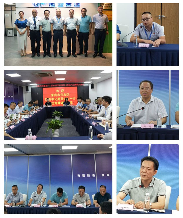 Z6���������ǲ�(�й���)���޹�˾����