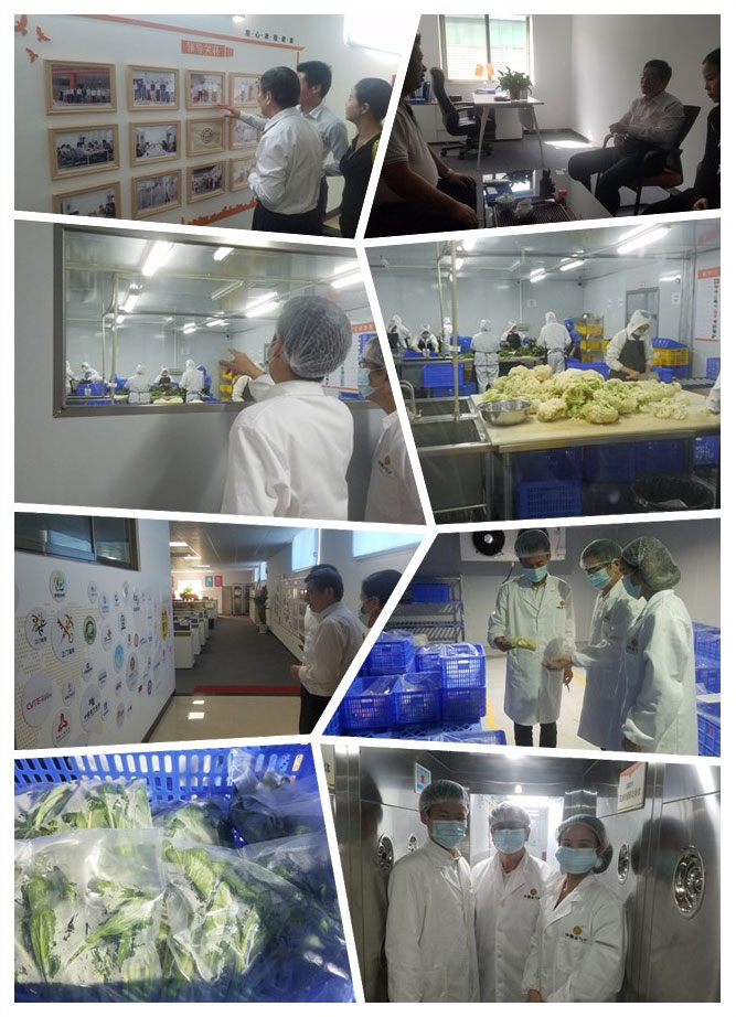 Z6���������ǲ�(�й���)���޹�˾����