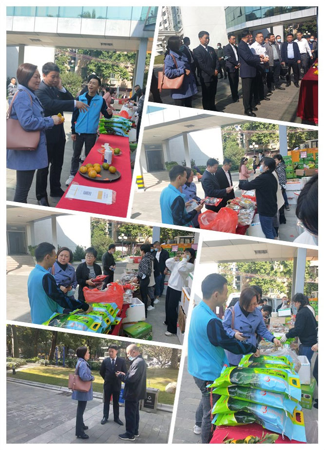 Z6���������ǲ�(�й���)���޹�˾����