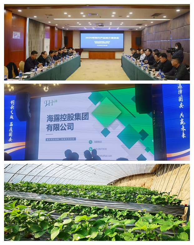 Z6���������ǲ�(�й���)���޹�˾����