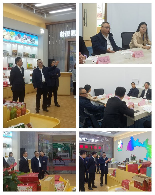 Z6���������ǲ�(�й���)���޹�˾����