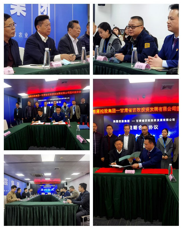 Z6���������ǲ�(�й���)���޹�˾����