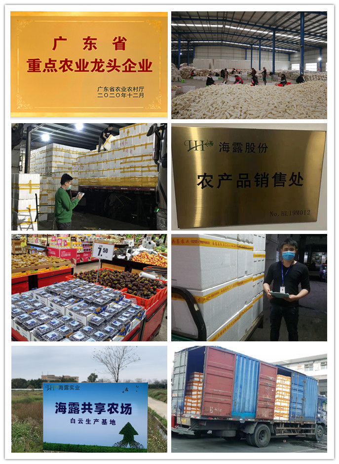 Z6���������ǲ�(�й���)���޹�˾����