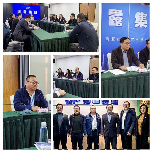 Z6���������ǲ�(�й���)���޹�˾����