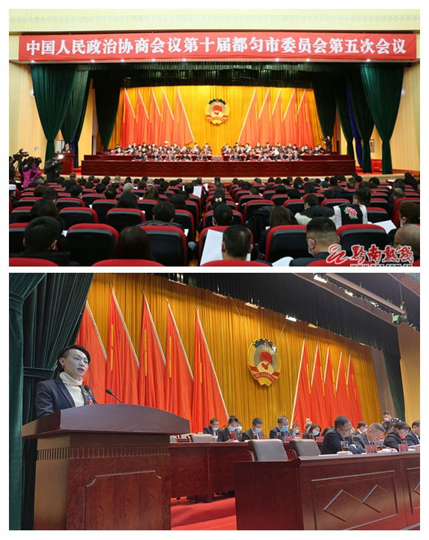 Z6���������ǲ�(�й���)���޹�˾����