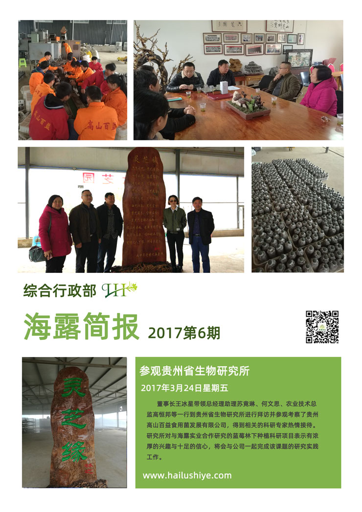 Z6���������ǲ�(�й���)���޹�˾����