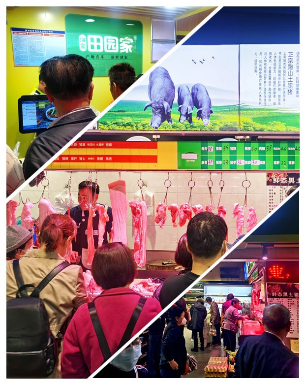 Z6���������ǲ�(�й���)���޹�˾����