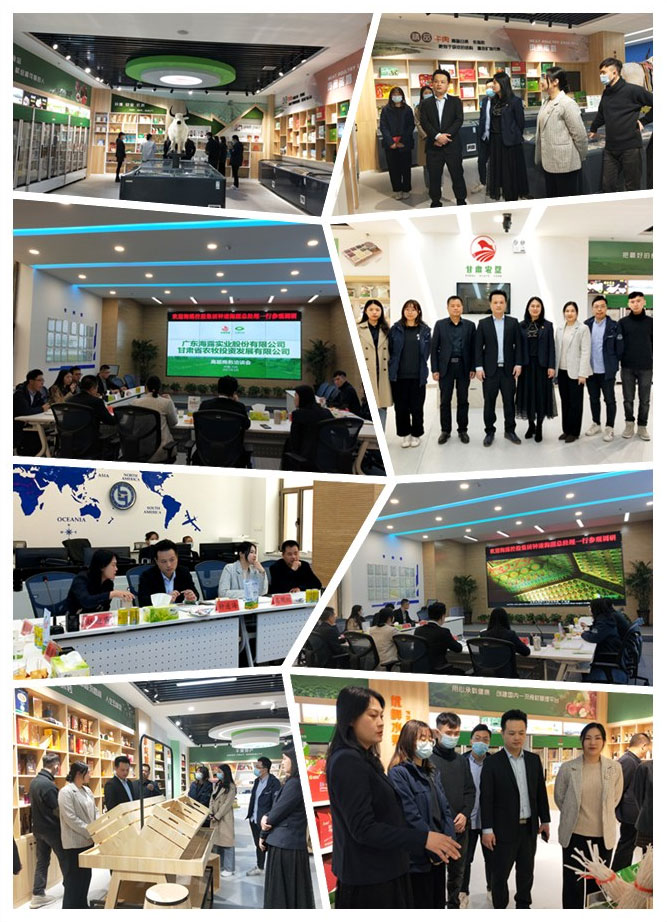 Z6���������ǲ�(�й���)���޹�˾����