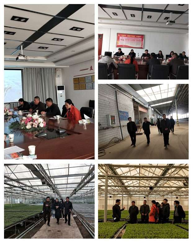 Z6���������ǲ�(�й���)���޹�˾����