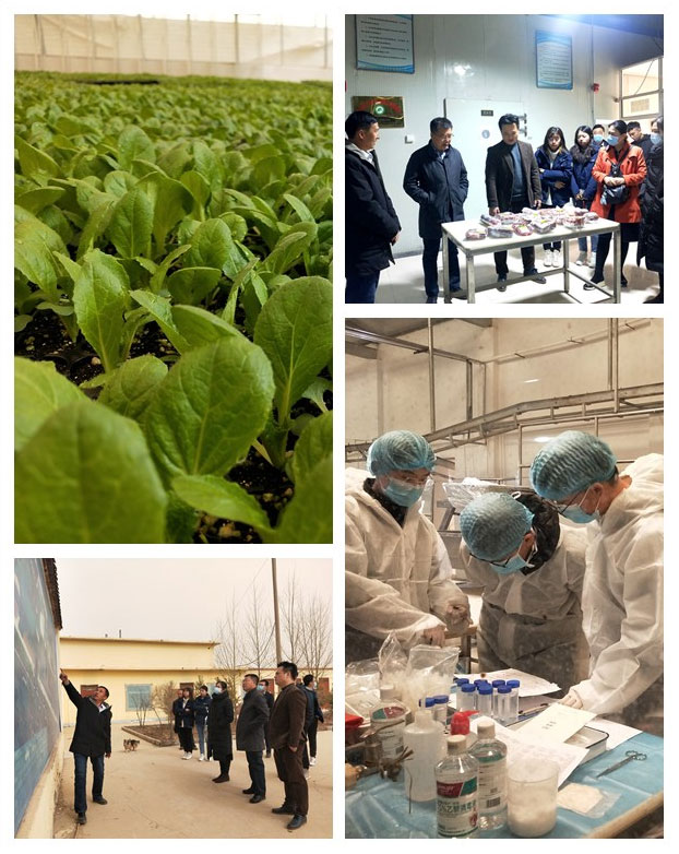 Z6���������ǲ�(�й���)���޹�˾����