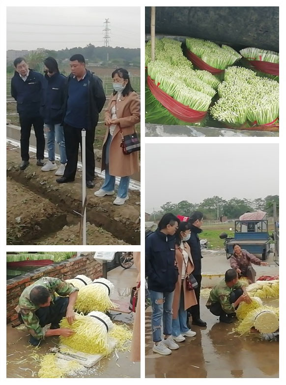 Z6���������ǲ�(�й���)���޹�˾����