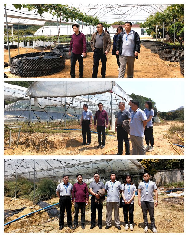 Z6���������ǲ�(�й���)���޹�˾����