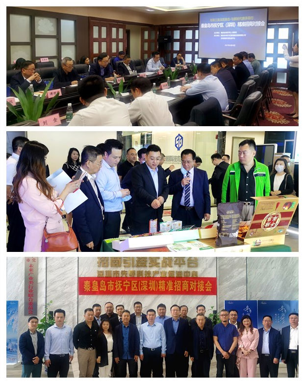 Z6���������ǲ�(�й���)���޹�˾����