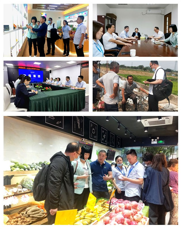 Z6���������ǲ�(�й���)���޹�˾����