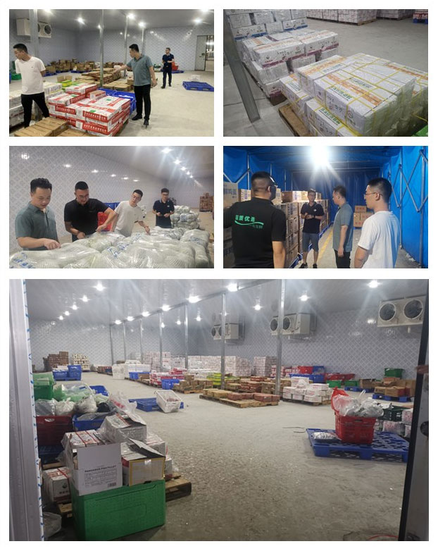 Z6���������ǲ�(�й���)���޹�˾����