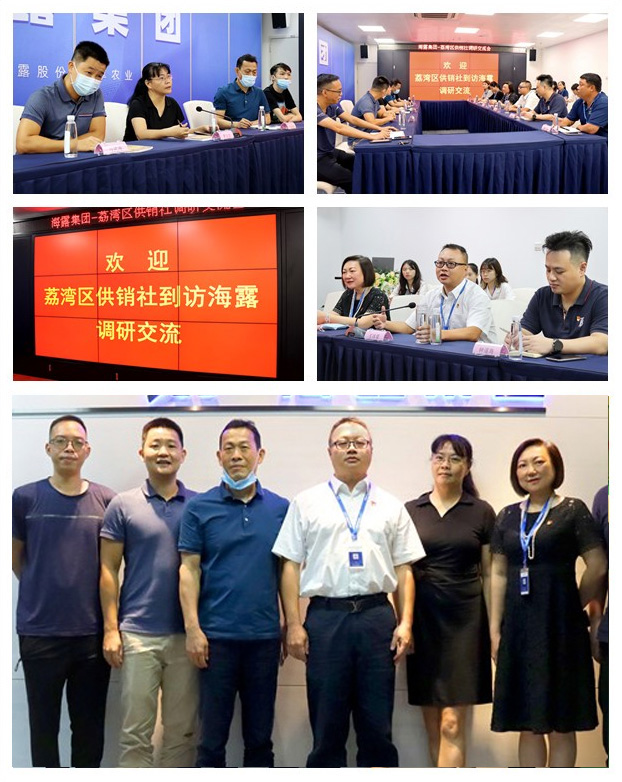 Z6���������ǲ�(�й���)���޹�˾����