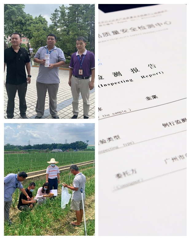 Z6���������ǲ�(�й���)���޹�˾����