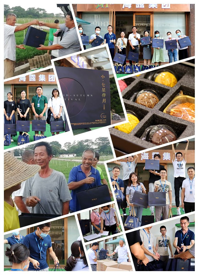 Z6���������ǲ�(�й���)���޹�˾����