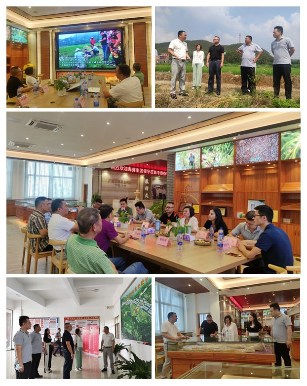 Z6���������ǲ�(�й���)���޹�˾����