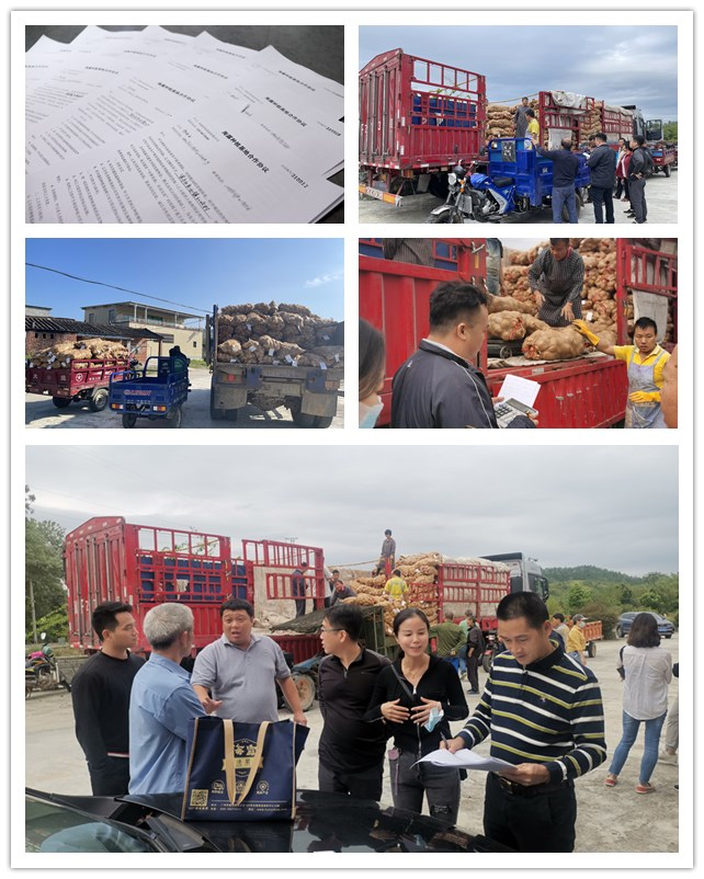 Z6���������ǲ�(�й���)���޹�˾����