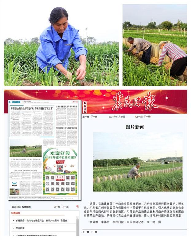 Z6���������ǲ�(�й���)���޹�˾����