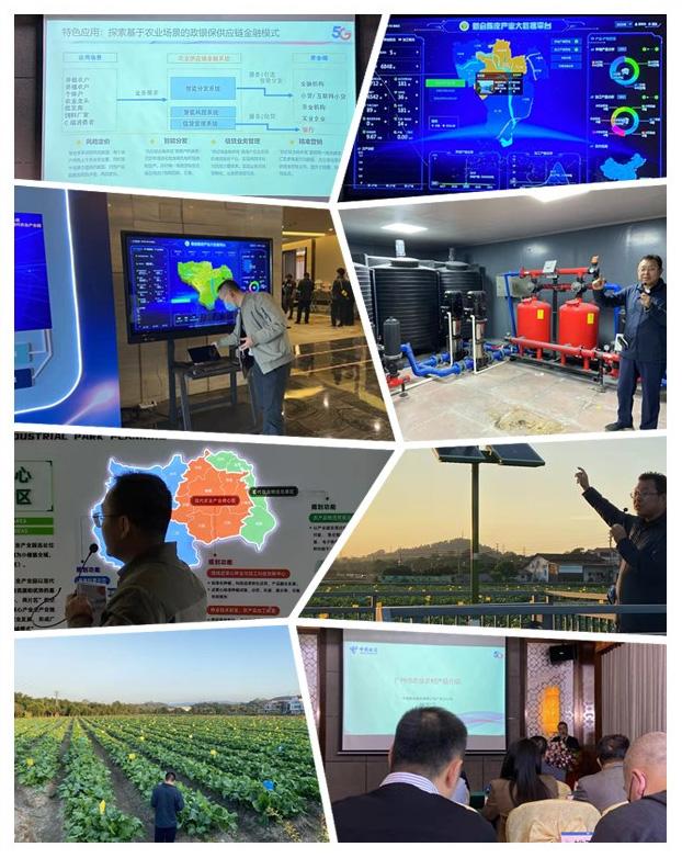 Z6���������ǲ�(�й���)���޹�˾����