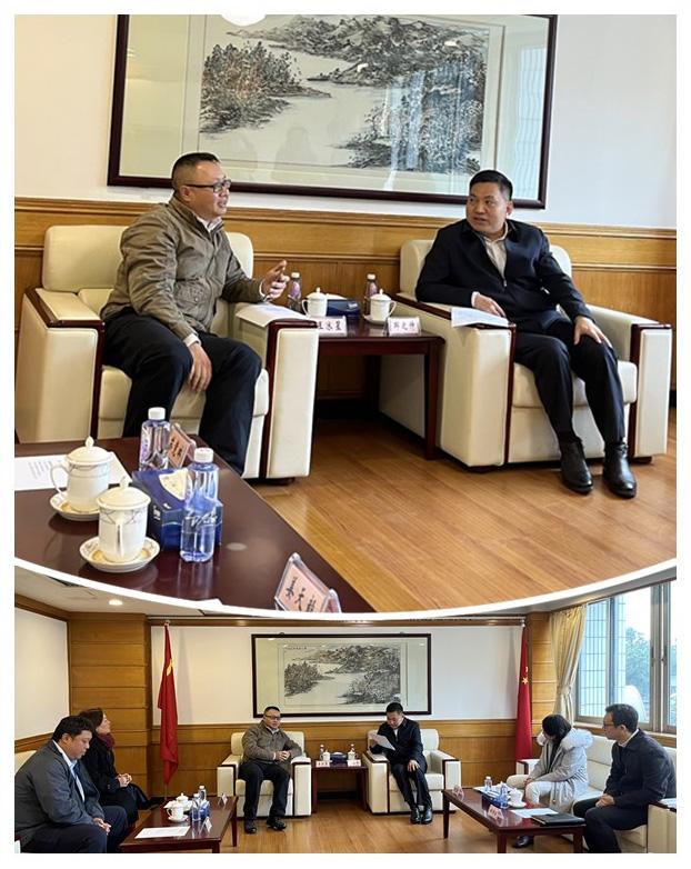 Z6���������ǲ�(�й���)���޹�˾����