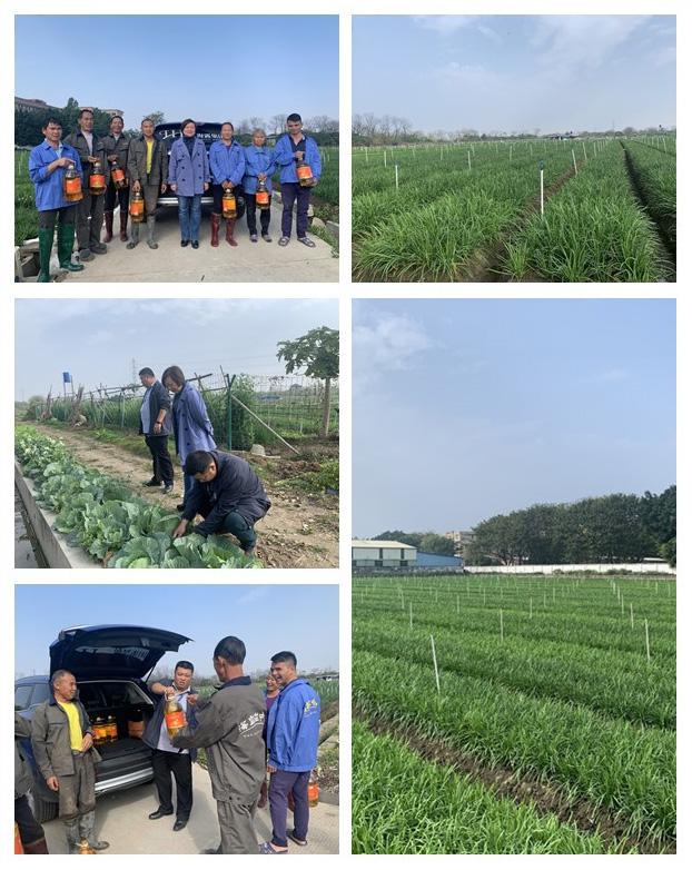 Z6���������ǲ�(�й���)���޹�˾����