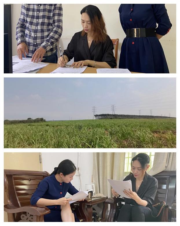 Z6���������ǲ�(�й���)���޹�˾����