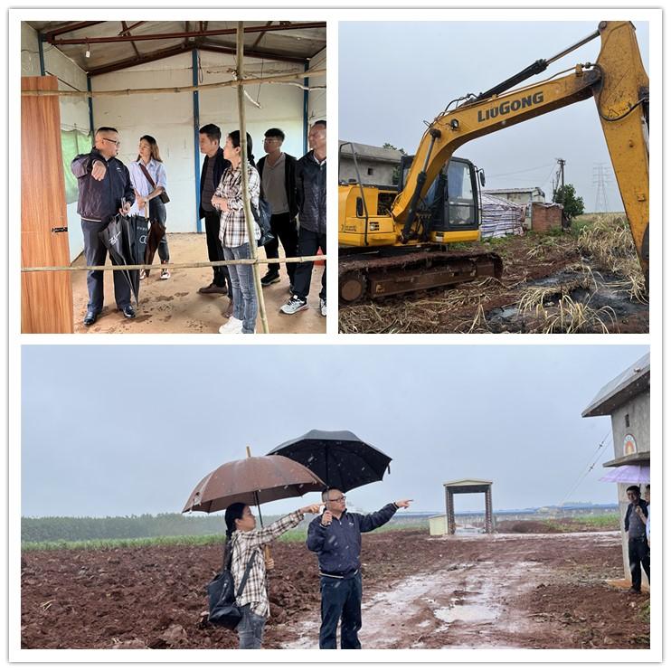 Z6���������ǲ�(�й���)���޹�˾����