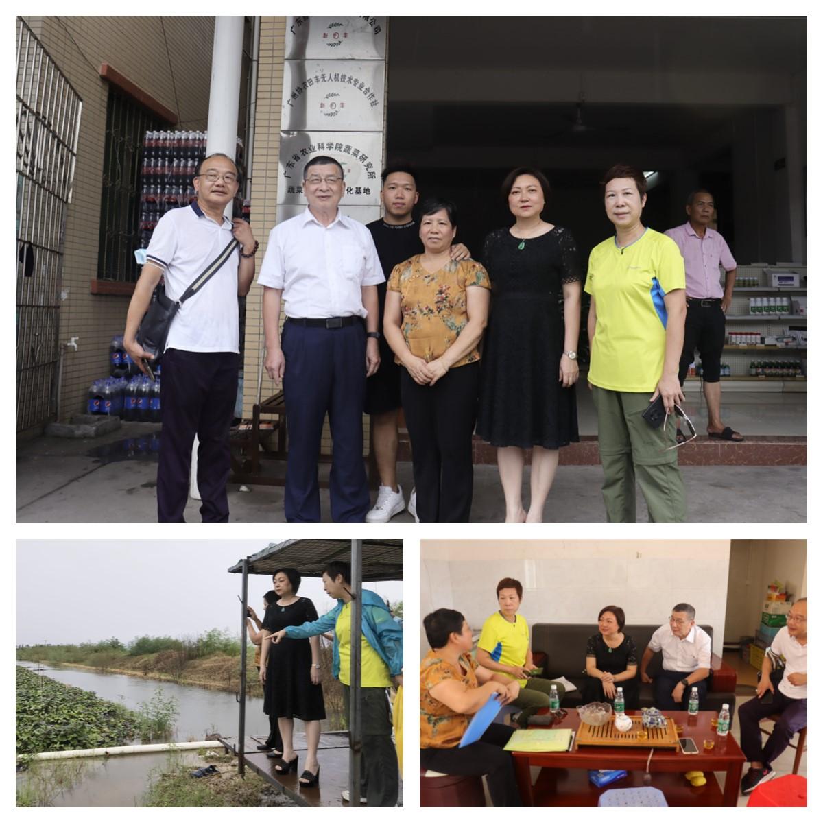 Z6���������ǲ�(�й���)���޹�˾����