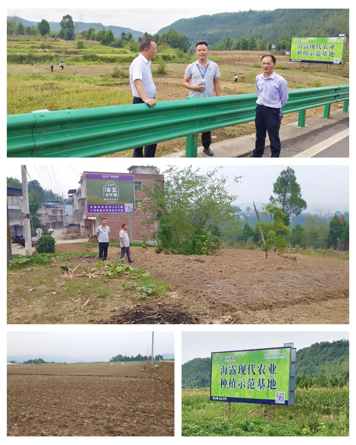 1-2209211HA3413 Z6¡¤ÈËÉú¾ÍÊDz©(ÖйúÇø)ÓÐÏÞ¹«Ë¾¹ÙÍø