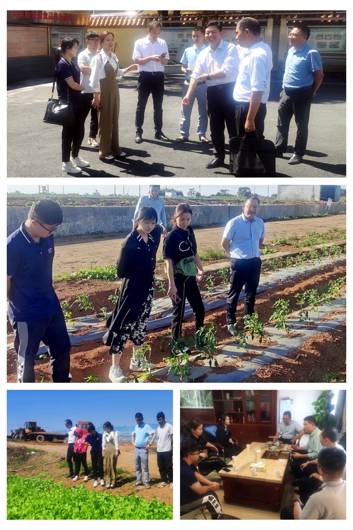 Z6���������ǲ�(�й���)���޹�˾����