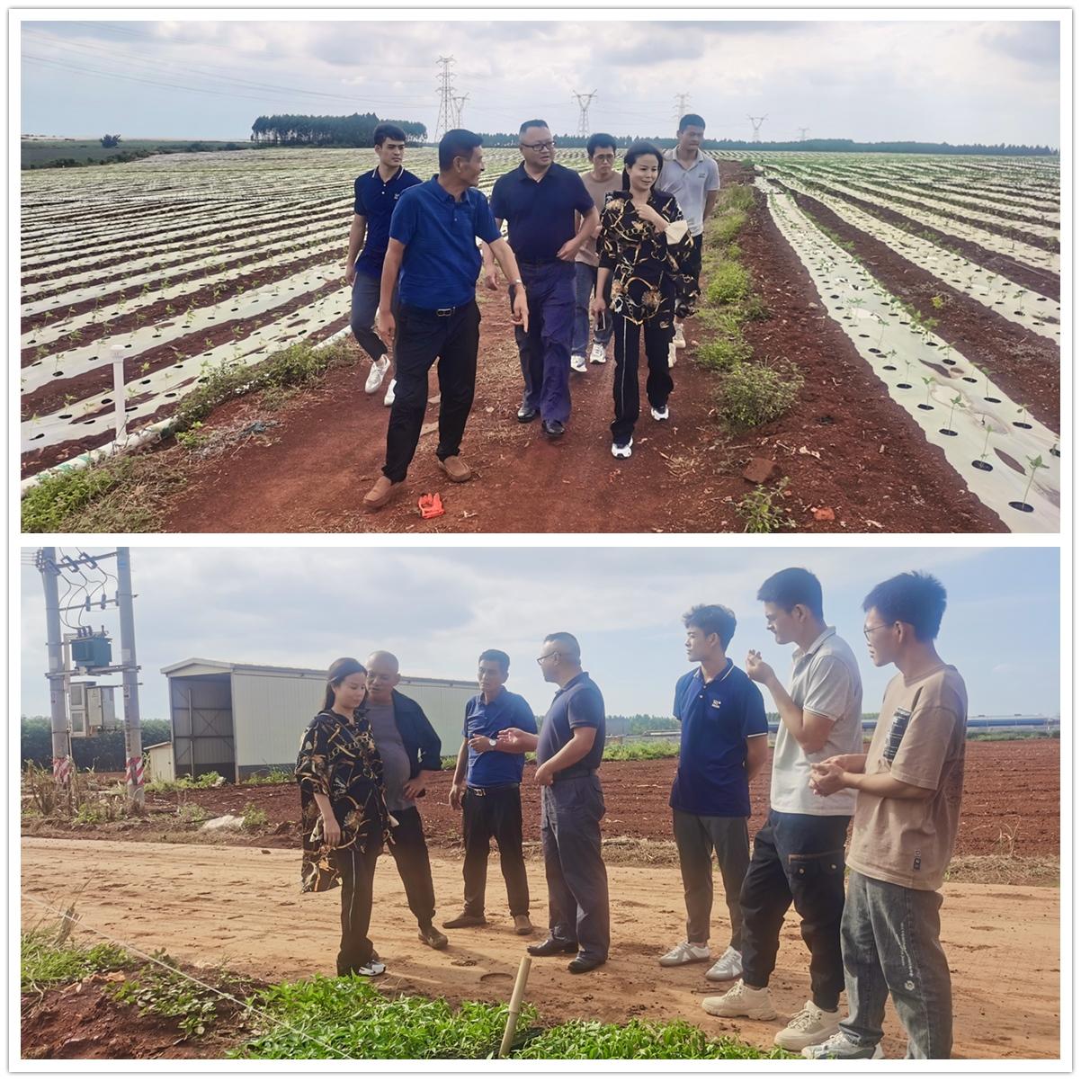 Z6���������ǲ�(�й���)���޹�˾����