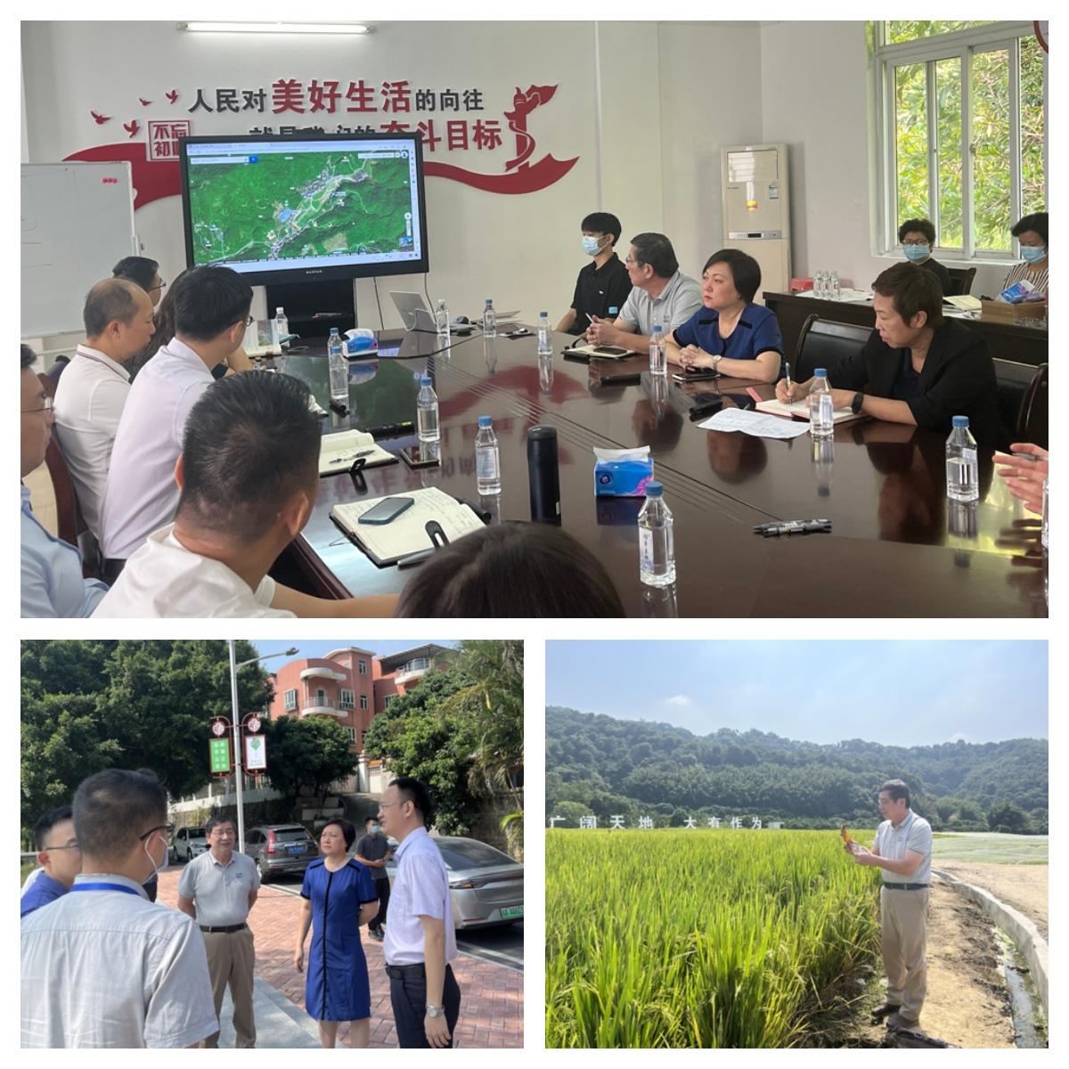 Z6���������ǲ�(�й���)���޹�˾����