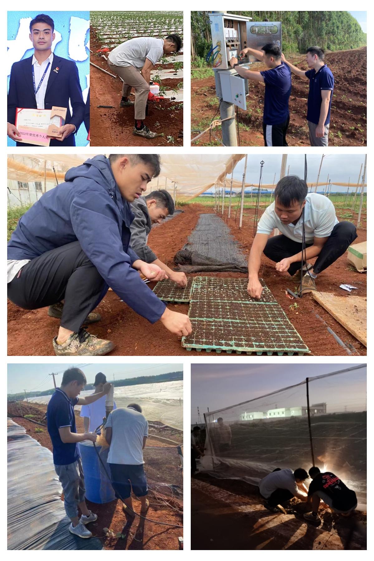 Z6���������ǲ�(�й���)���޹�˾����