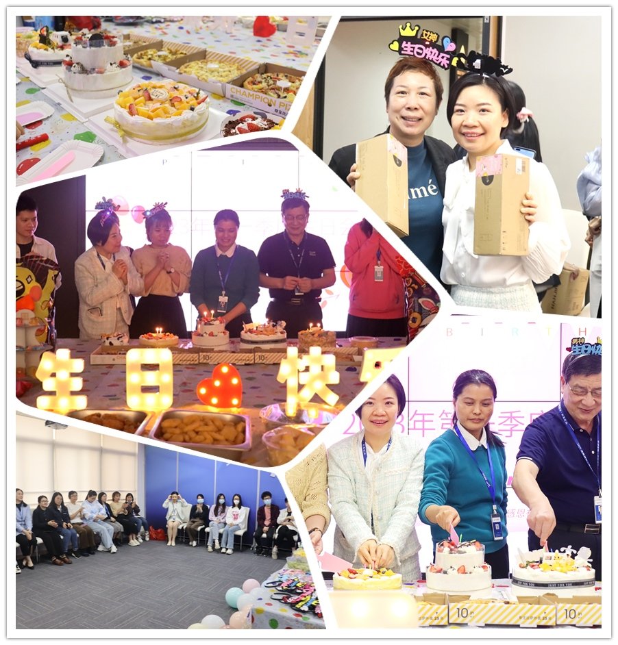 Z6���������ǲ�(�й���)���޹�˾����