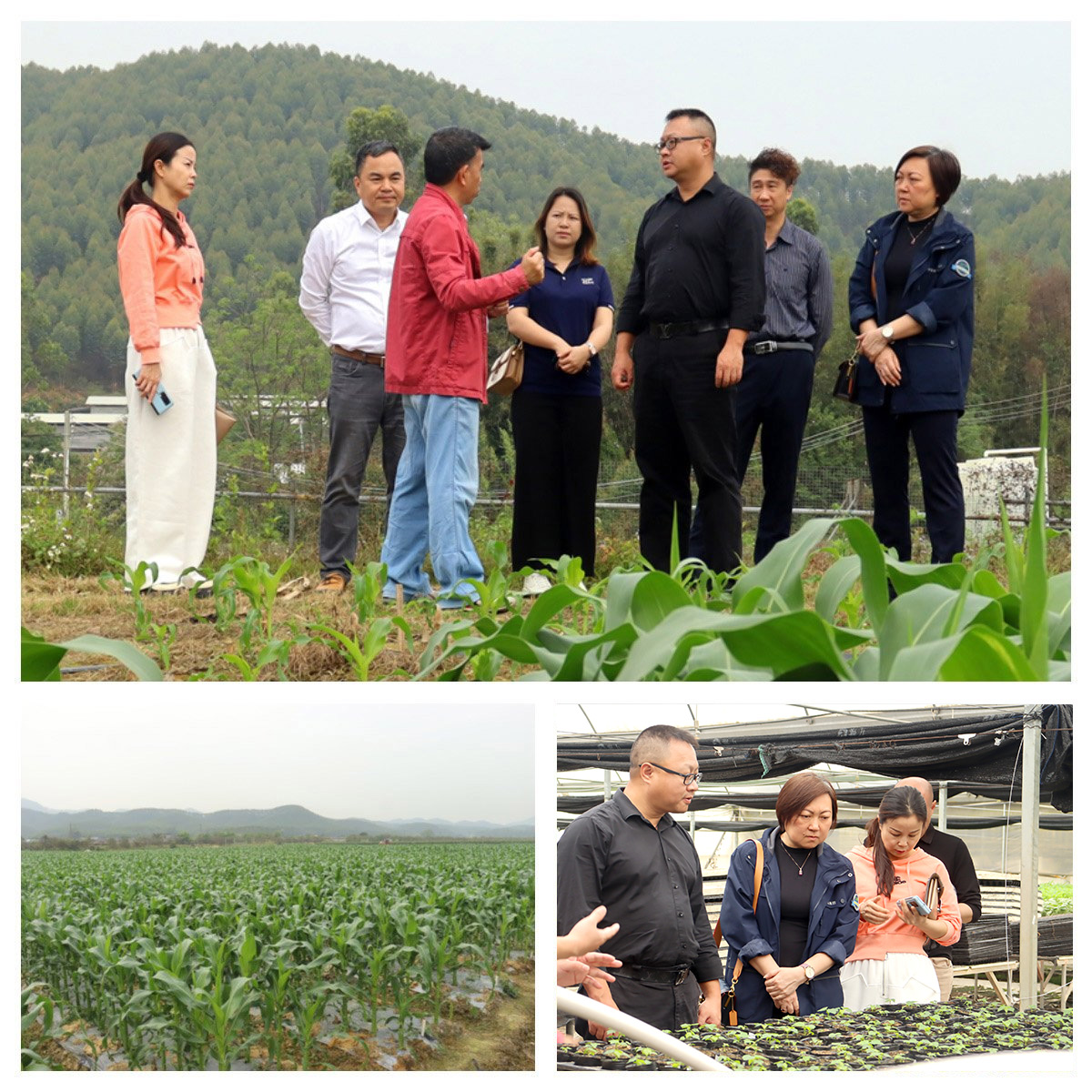 Z6���������ǲ�(�й���)���޹�˾����