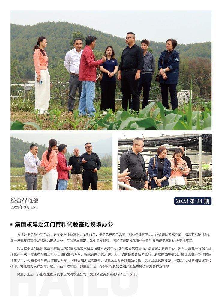 Z6���������ǲ�(�й���)���޹�˾����