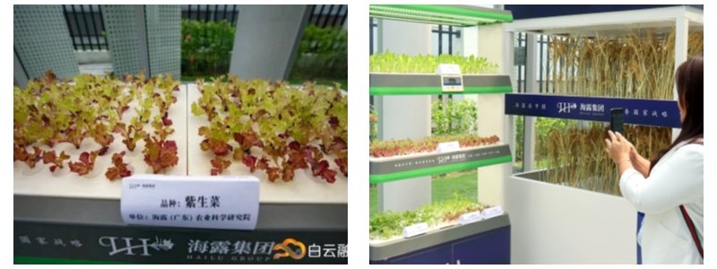 1-23042QK95U62 Z6¡¤ÈËÉú¾ÍÊDz©(ÖйúÇø)ÓÐÏÞ¹«Ë¾¹ÙÍø