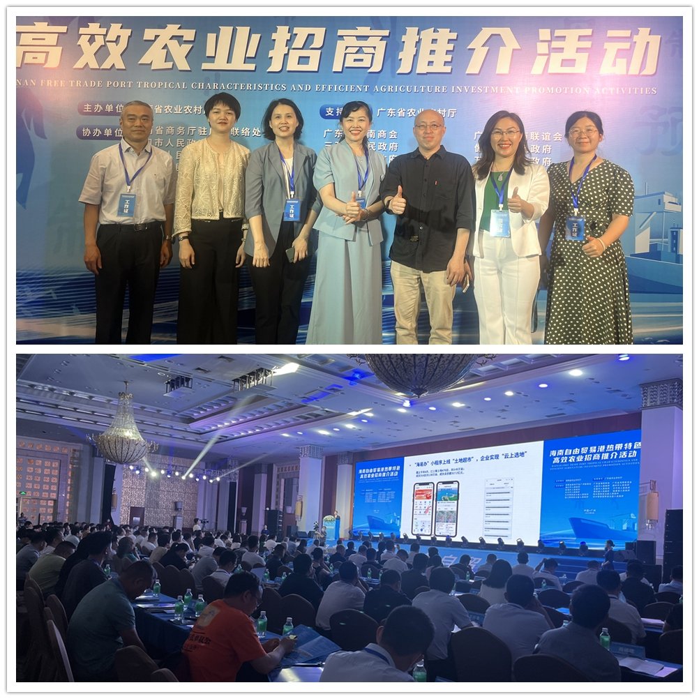 Z6���������ǲ�(�й���)���޹�˾����