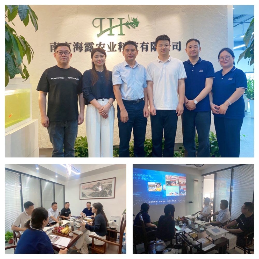 Z6���������ǲ�(�й���)���޹�˾����