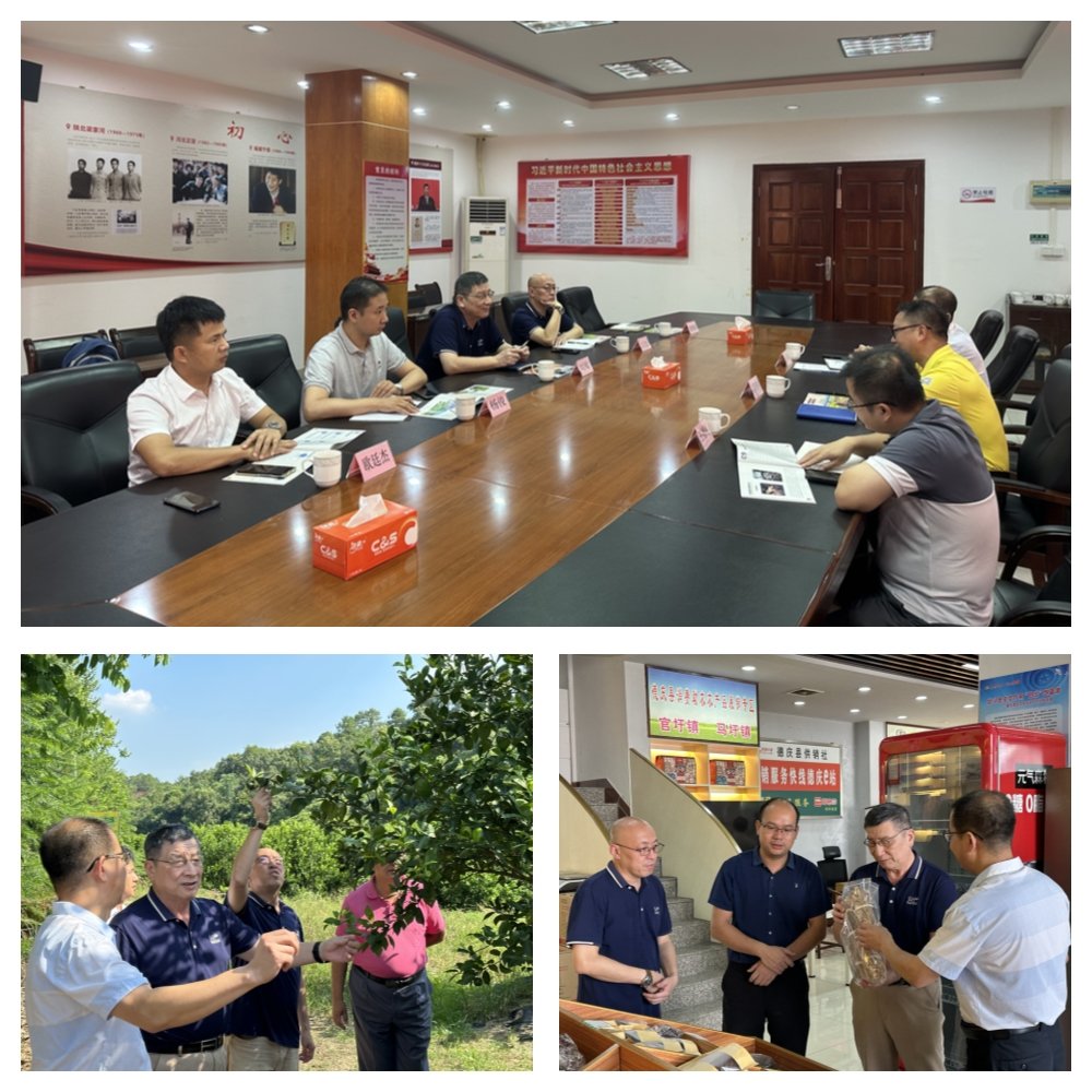 Z6���������ǲ�(�й���)���޹�˾����