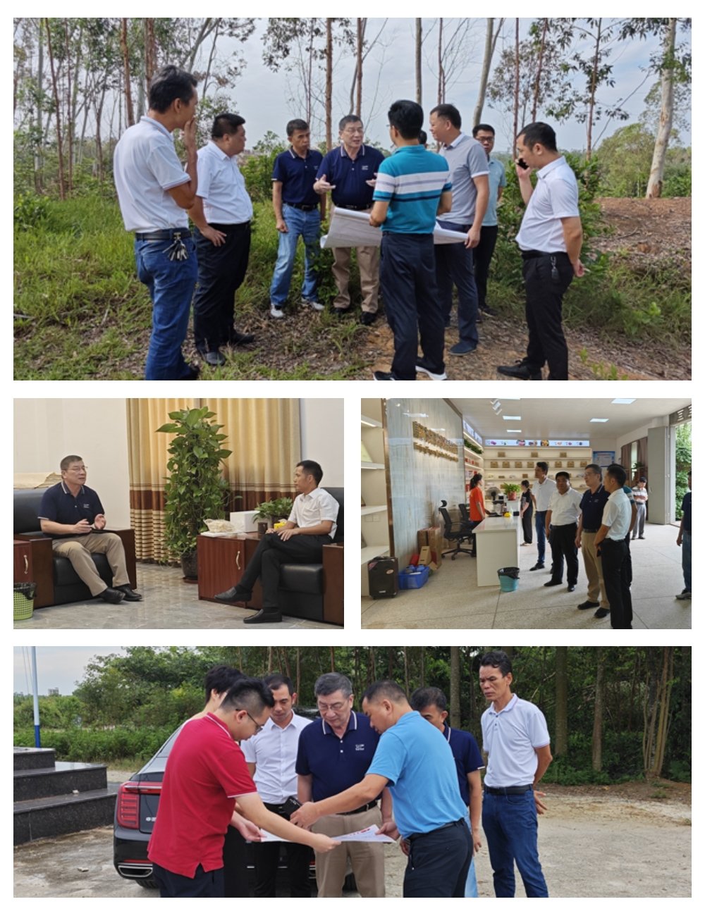 Z6���������ǲ�(�й���)���޹�˾����