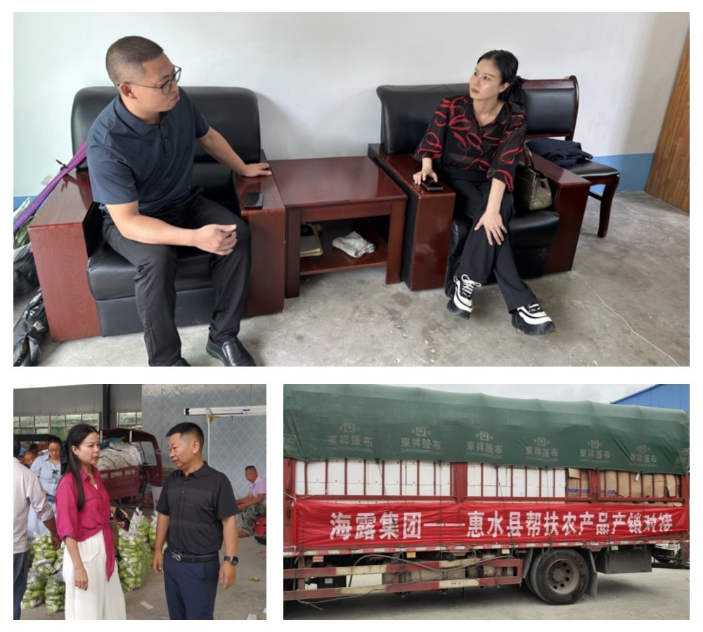 Z6���������ǲ�(�й���)���޹�˾����