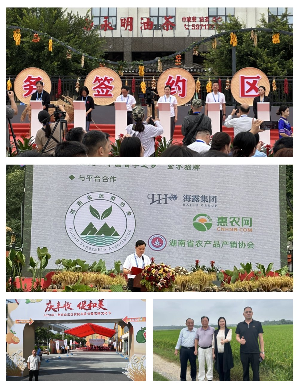 Z6���������ǲ�(�й���)���޹�˾����